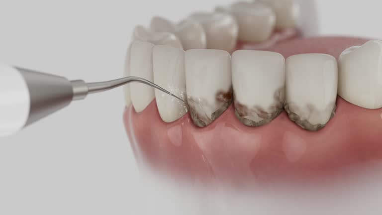 Reliable Dental contractor in Robbins, NC by Dentist Open Now